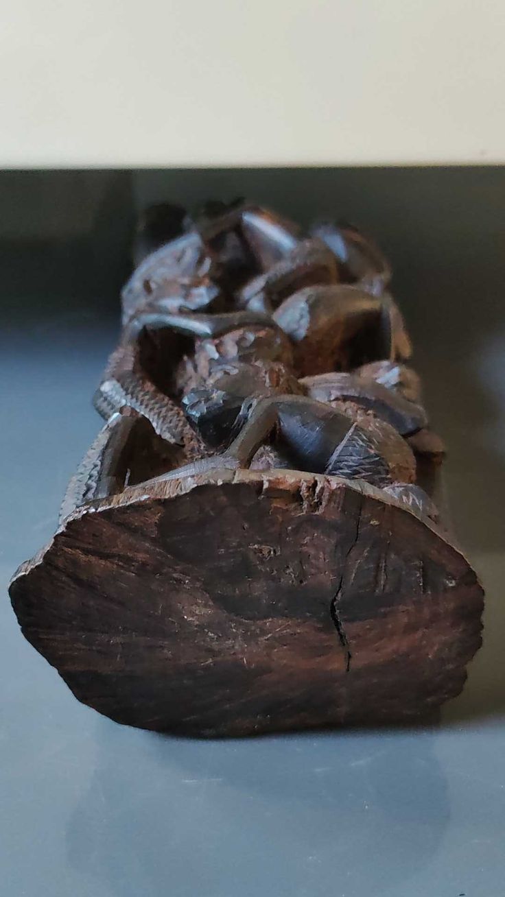 African tree of life 2